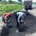Satlantas Polres Tegal Tambal Jalan Berlubang Di Jalur Alternatif Jatibarang – Balapulang