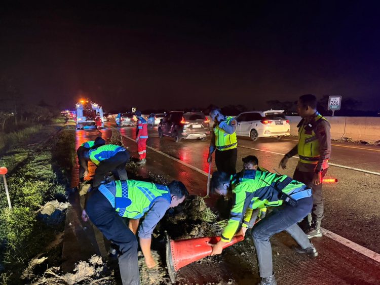 Evakuasi Bus Terperosok di Tol Pejagan–Pemalang, Kapolres Tegal Turun Langsung ke Lokasi