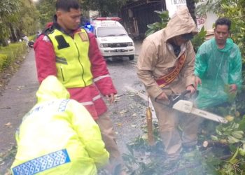 Quick Response Polres Tegal Tangani Pohon Tumbang di Jalan Ir H Juanda
