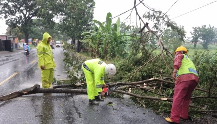 Personel Polsek Lebaksiu Sigap Tangani Ranting Pohon Roboh Akibat Hujan Deras