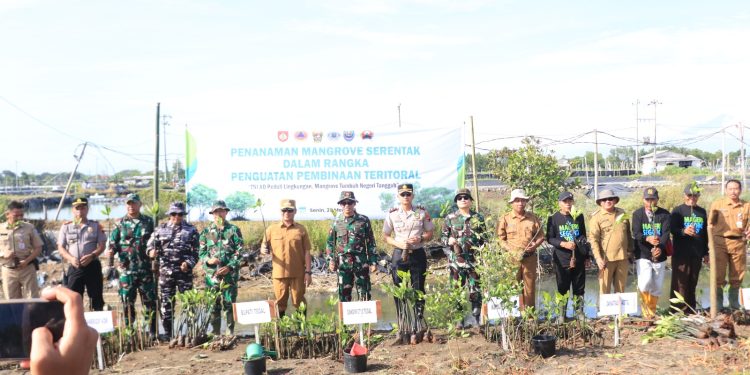 Penanaman Mangrove Serentak Jadi Wujud Sinergitas TNI-Polri dan Kepedulian Lingkungan