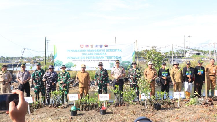 Penanaman Mangrove Serentak Jadi Wujud Sinergitas TNI-Polri dan Kepedulian Lingkungan