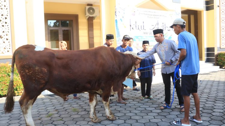 Polres Tegal Salurkan Hewan Kurban kepada Masyarakat dan Pondok Pesantren