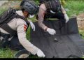 Petani Temukan Granat Nanas di Lahan Jagung, Polsek Kedungbandeng dan Tim Gegana Brimob Polda Jateng Lakukan Evakuasi dan Disposal