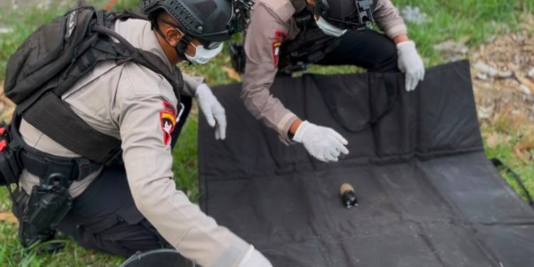 Petani Temukan Granat Nanas di Lahan Jagung, Polsek Kedungbandeng dan Tim Gegana Brimob Polda Jateng Lakukan Evakuasi dan Disposal