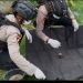 Petani Temukan Granat Nanas di Lahan Jagung, Polsek Kedungbandeng dan Tim Gegana Brimob Polda Jateng Lakukan Evakuasi dan Disposal